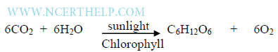 Autotrophic nutrition